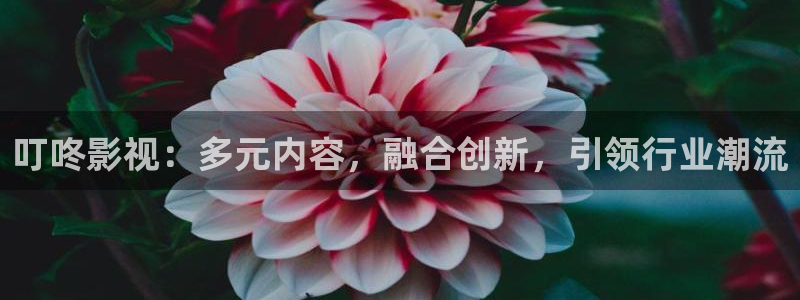 飘零电影在线看：叮咚影视：多元内容，融合创新，引领行业潮流