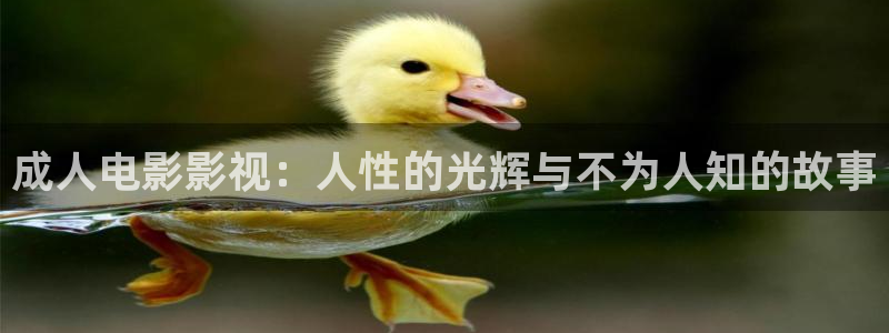 飘零影院pl2020：成人电影影视：人性的光辉与不为人知的故事