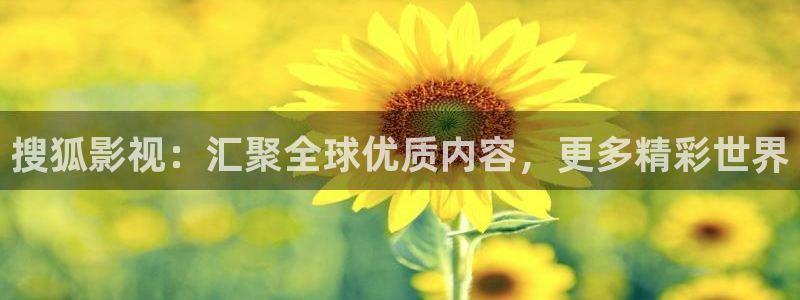飘零手机影院：搜狐影视：汇聚全球优质内容，更多精彩世界