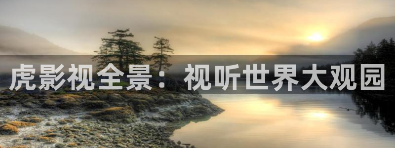 新飘零影院：虎影视全景：视听世界大观园