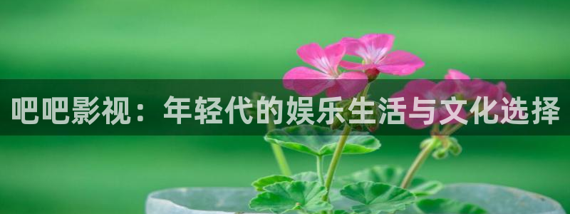 飘零影院电视剧免费观看：吧吧影视：年轻代的娱乐生活与文化选择