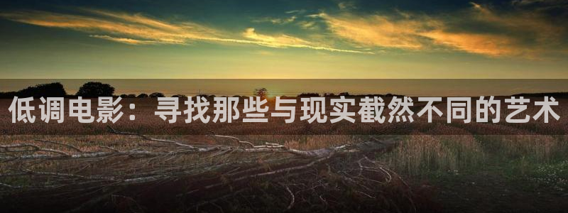 飘零在线影院：低调电影：寻找那些与现实截然不同的艺术