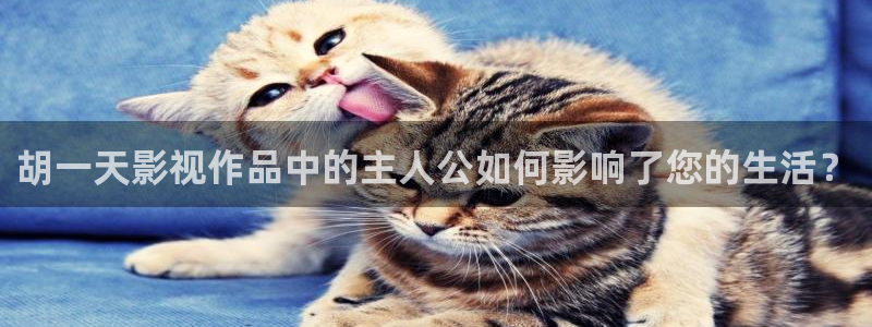 飘零影院6080：胡一天影视作品中的主人公如何影响了您的生活？