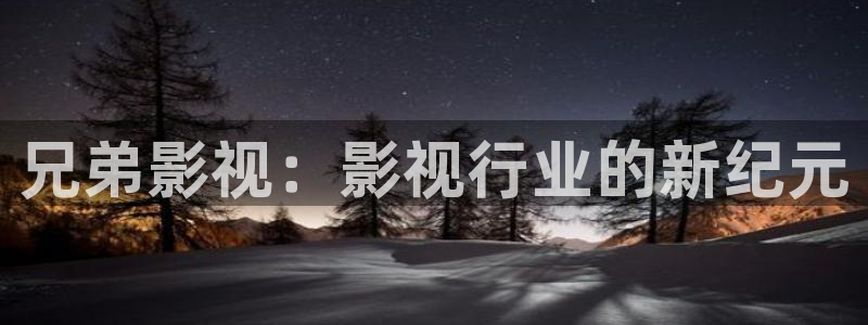 飘零影院未来影院：兄弟影视：影视行业的新纪元