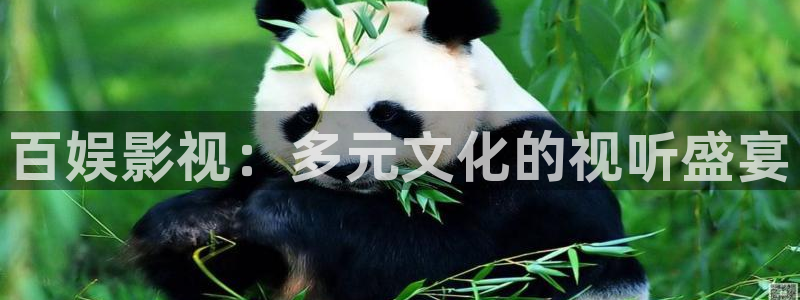 飘零电影在线看免费播放：百娱影视：多元文化的视听盛宴