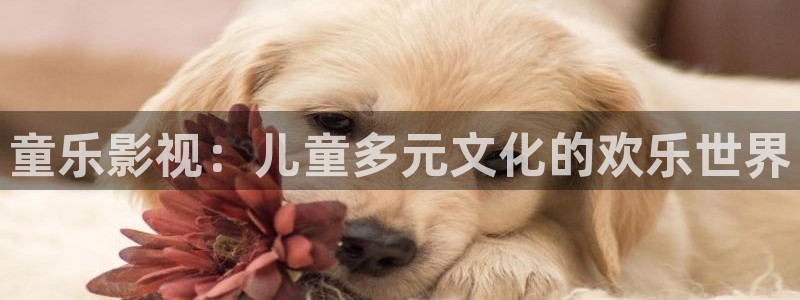 飘零影院最新电影：童乐影视：儿童多元文化的欢乐世界