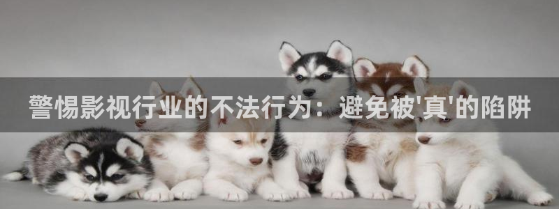 飘零影院我不卡：警惕影视行业的不法行为：避免被\'真\'的陷阱